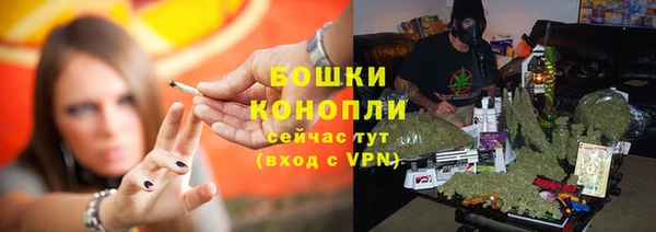 спайс Нея