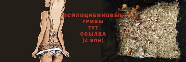 спайс Нея