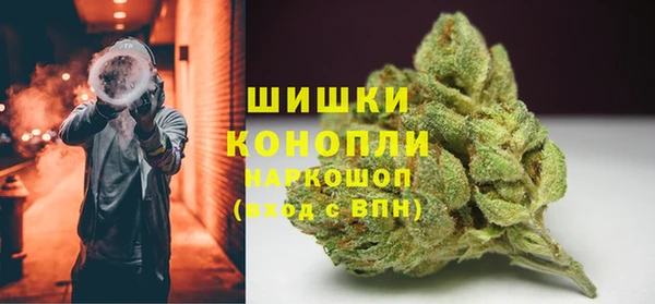 спайс Нея