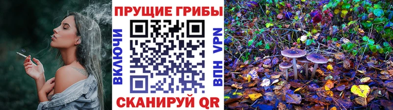 Псилоцибиновые грибы Psilocybine cubensis  МЕГА маркетплейс  Пугачёв 